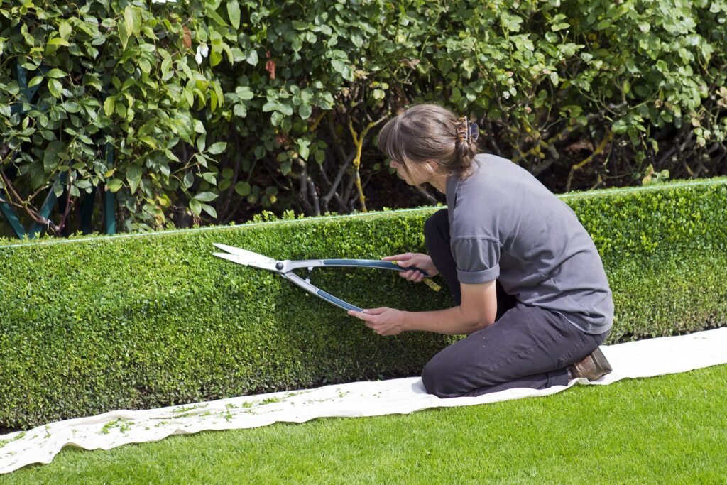 les jardins de poigny specialiste du jardin à Provins Seine-et-Marne boutique Poigny pepiniere production de buis