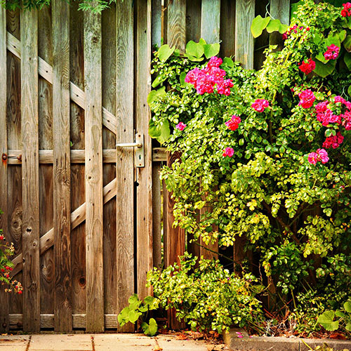 lesjardinsdepoigny-Provins-boutique-rosier