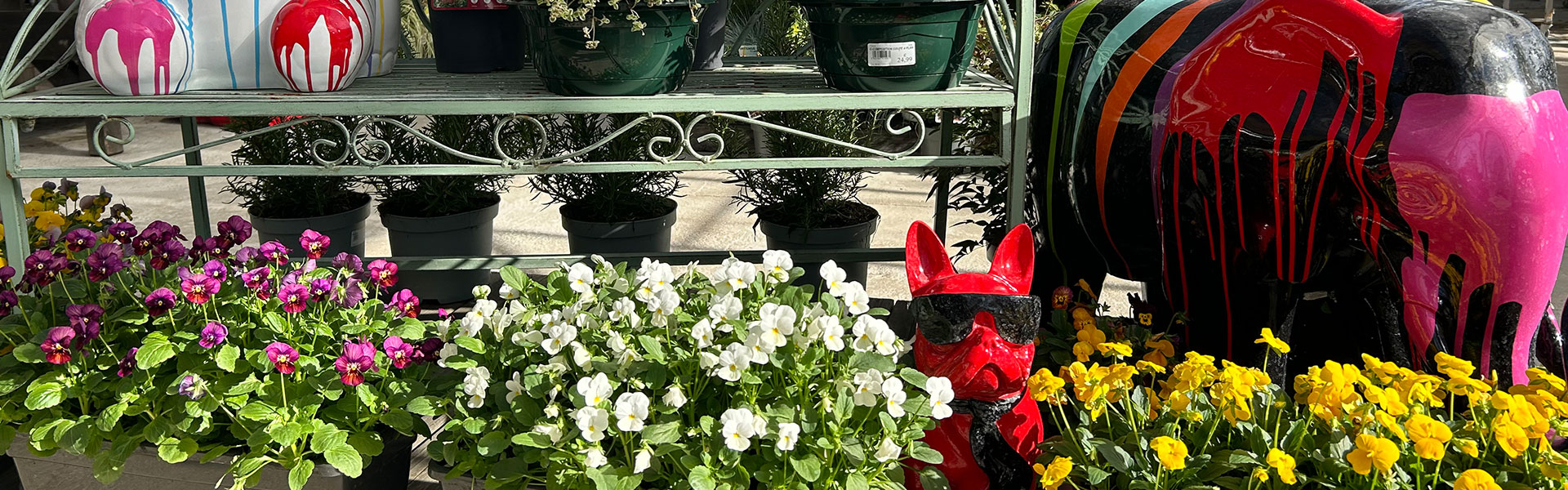 les jardins de poigny specialiste du jardin à Provins Seine-et-Marne boutique Poigny