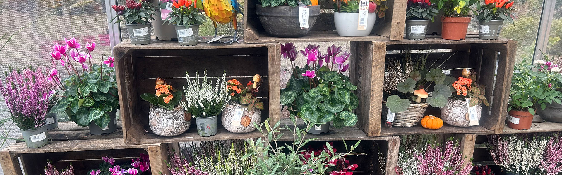 les jardins de poigny specialiste du jardin à Provins Seine-et-Marne boutique Poigny