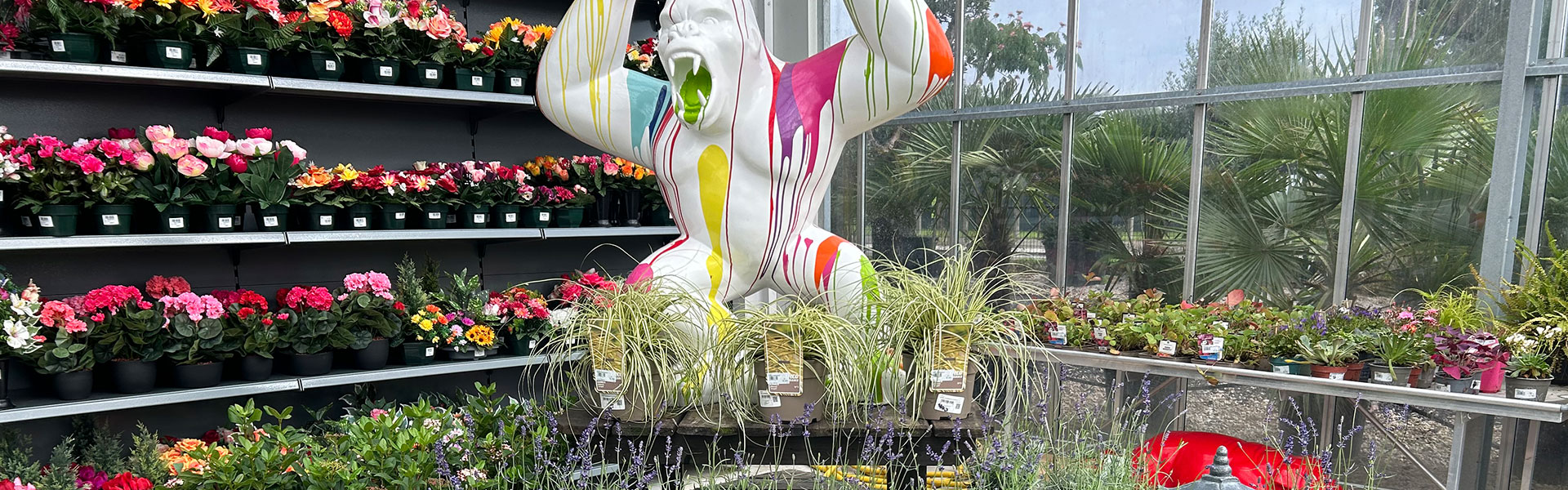 les jardins de poigny specialiste du jardin à Provins Seine-et-Marne boutique Poigny