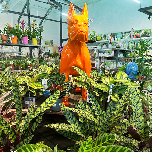 les jardins de poigny specialiste du jardin à Provins Seine-et-Marne boutique Poigny