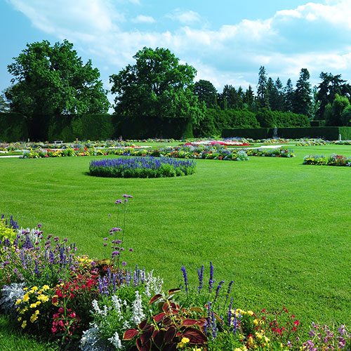 les jardins de poigny specialiste du jardin à Provins Seine-et-Marne boutique Poigny