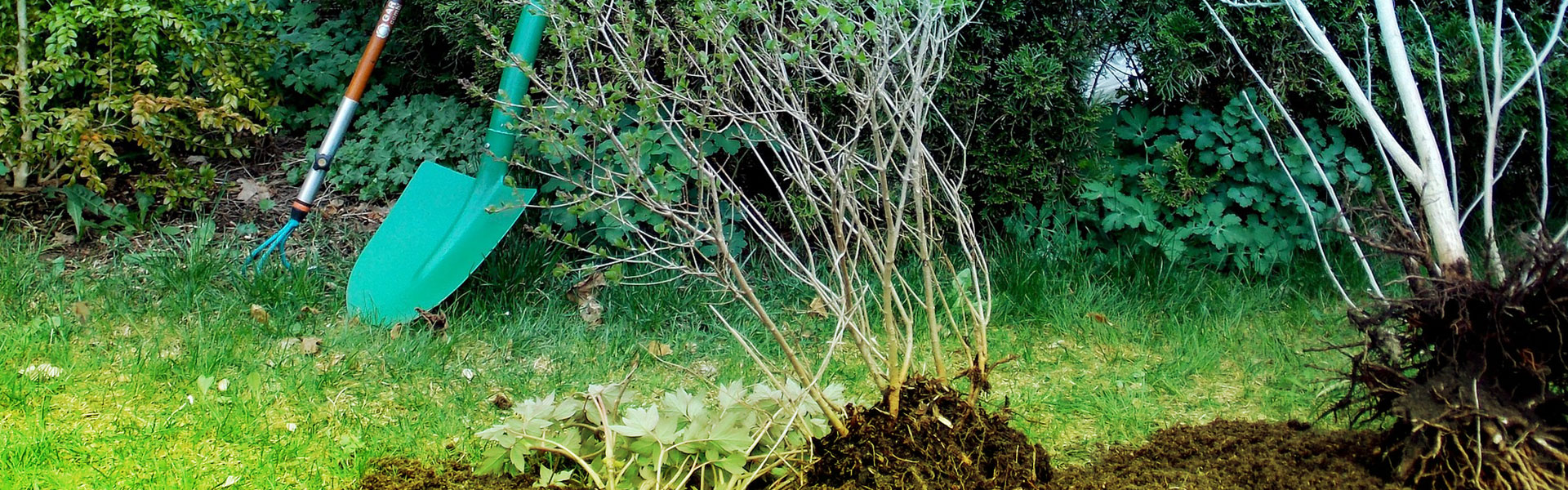 lesjardinsdepoigny specialiste du jardin à Provins Seine et Marne