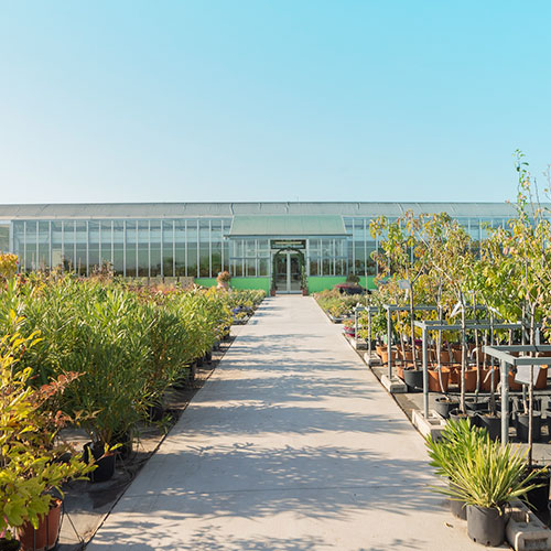 les jardins de poigny specialiste du jardin à Provins Seine-et-Marne boutique Poigny pepiniere