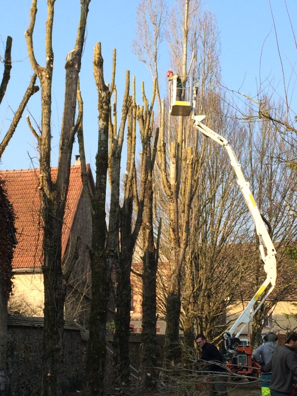 lesjardinsdepoigny-Provins-travaux