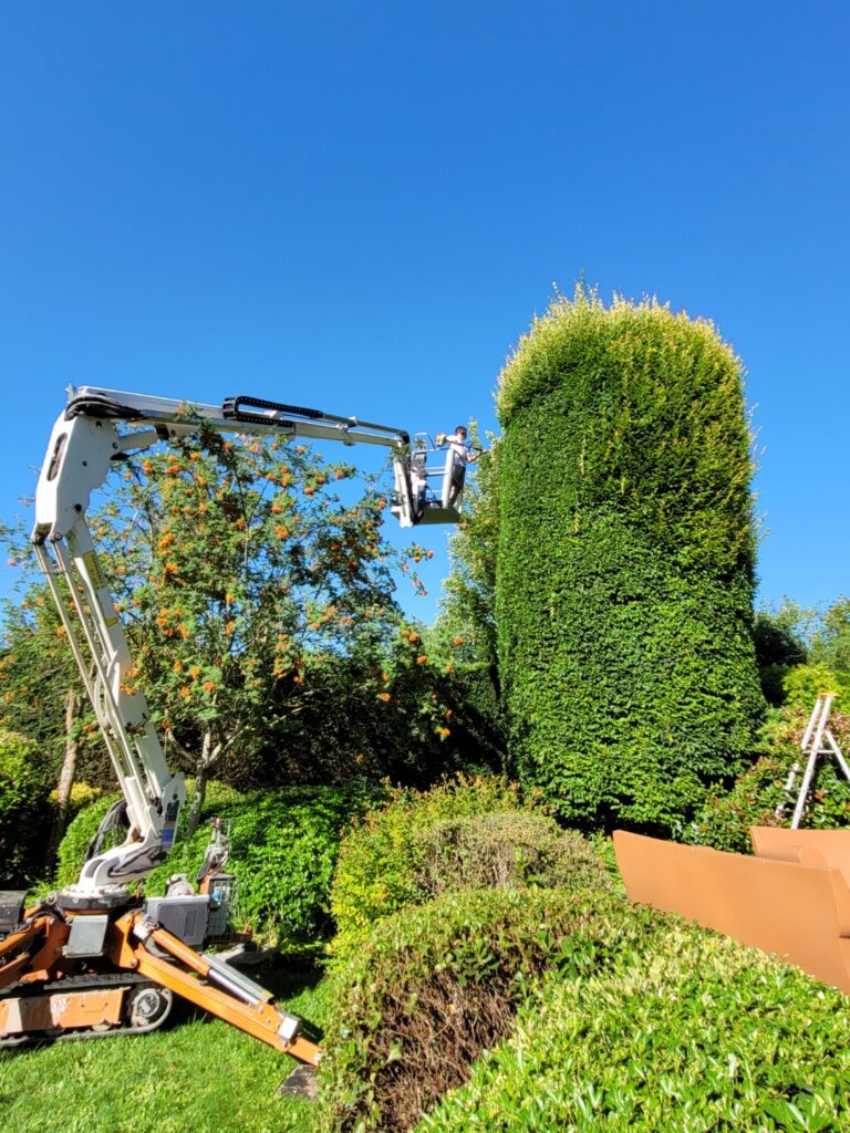 lesjardinsdepoigny-Provins-travaux