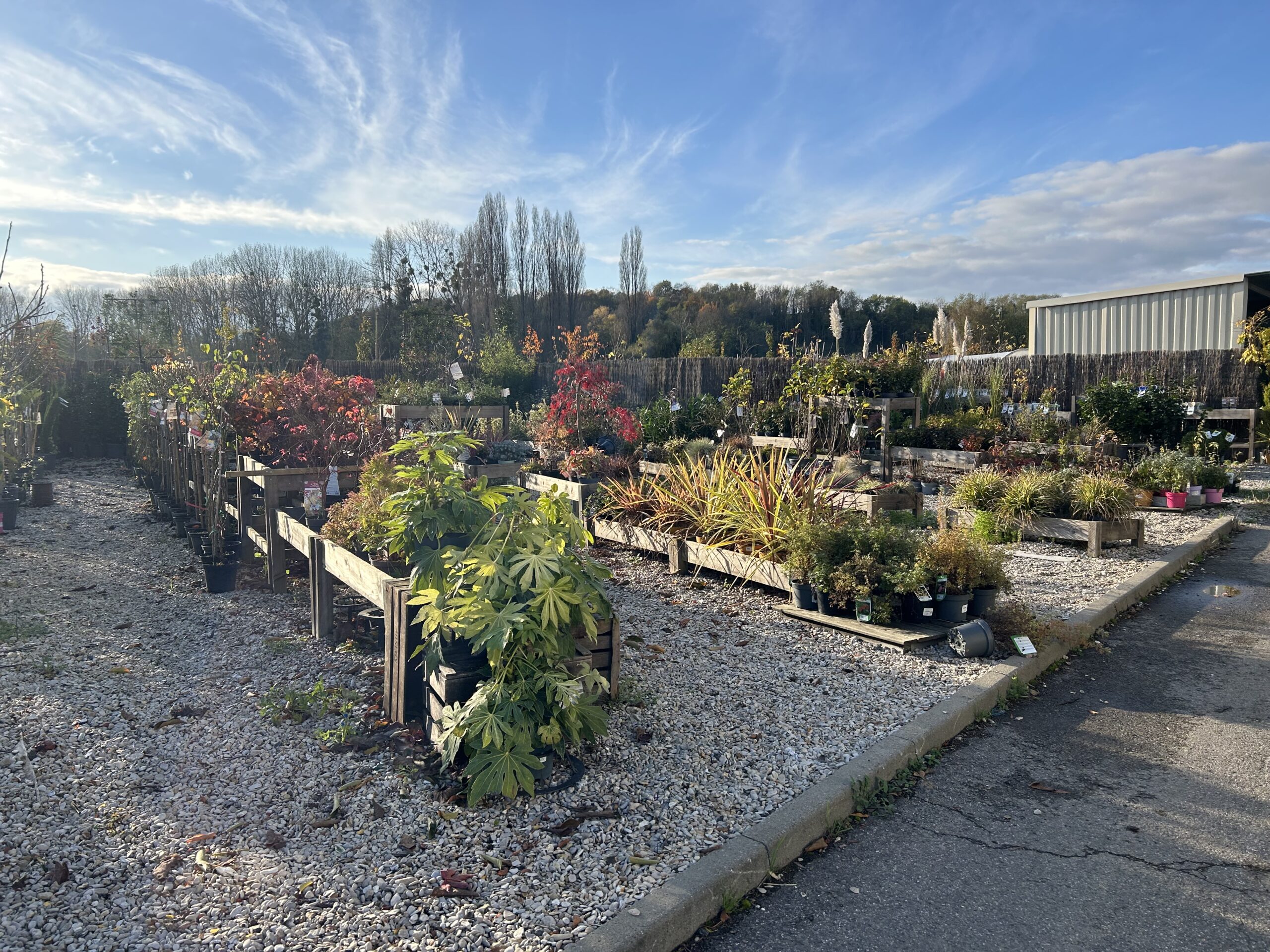 lesjardinsdepoigny-Provins-pepiniere